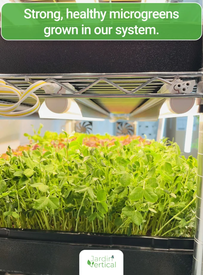 Fully automated seedlings and microgreens growing station