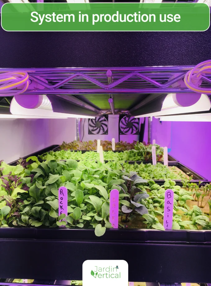 Fully automated seedlings and microgreens growing station