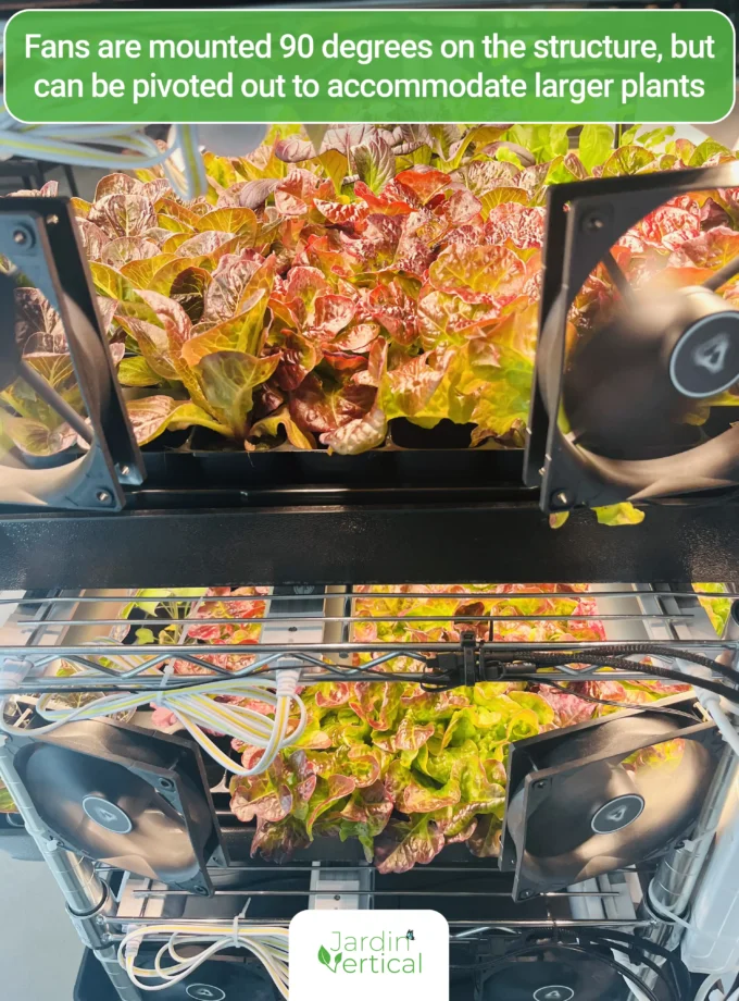 Fully automated seedlings and microgreens growing station