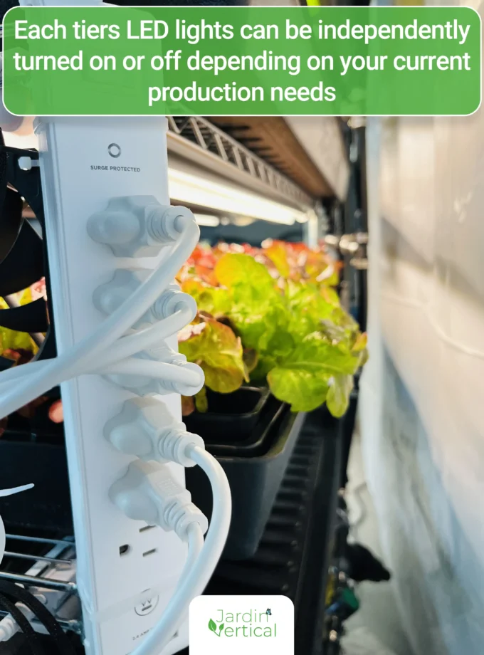 Fully automated seedlings and microgreens growing station