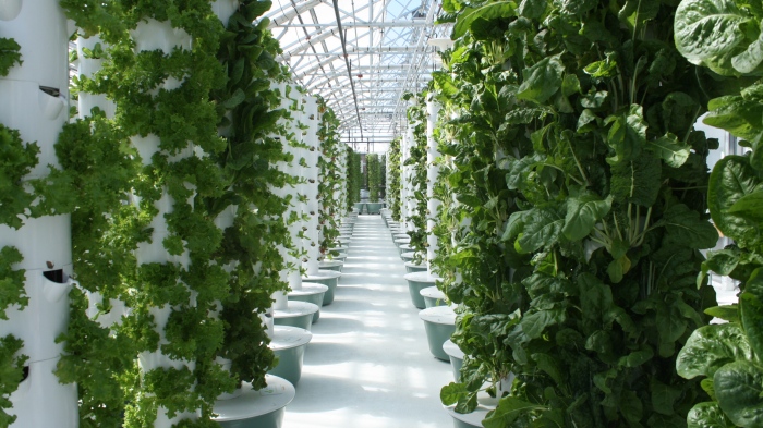 how aeroponics differs from hydroponics